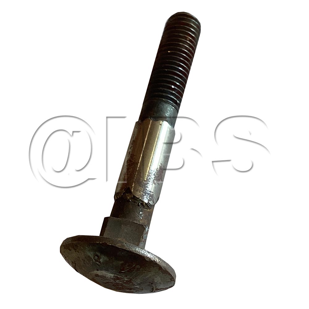 20853MER Imer USA SCREWS EA SP