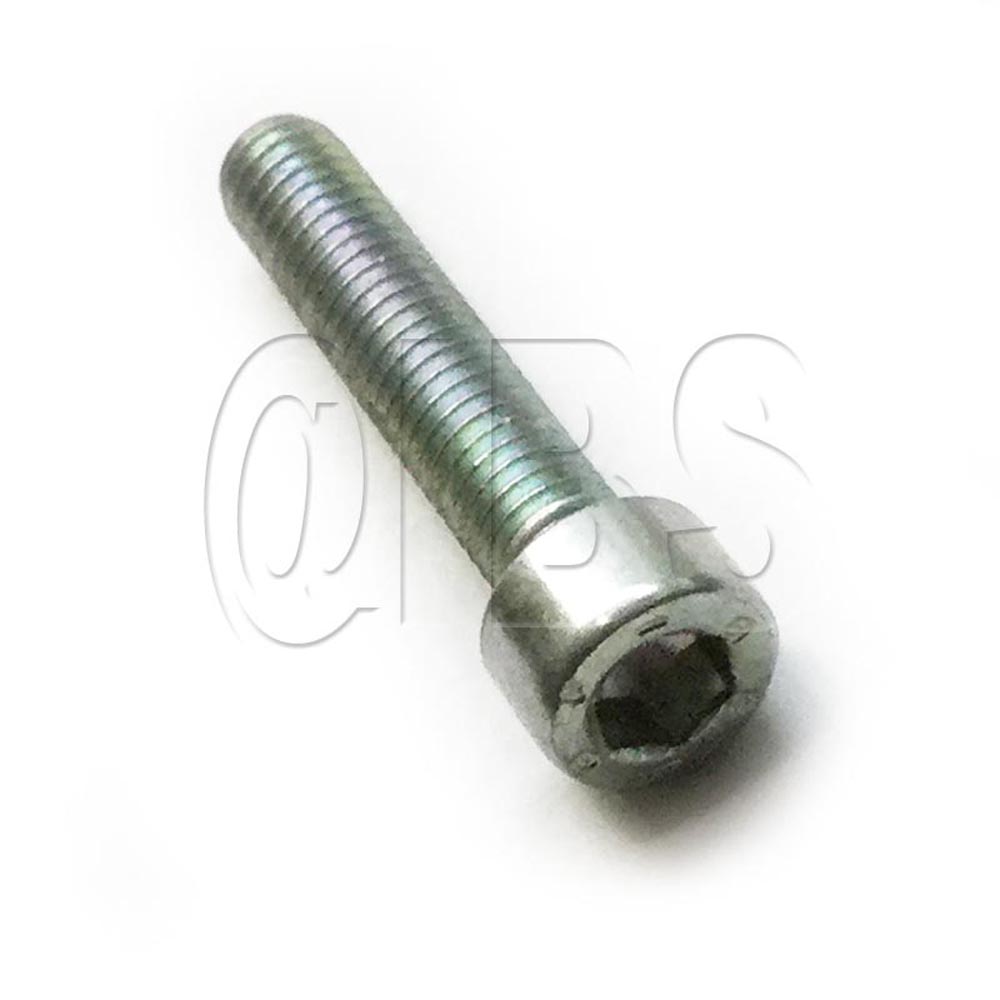 20679MER Imer USA SCREW-C250 / C1000 EA SP