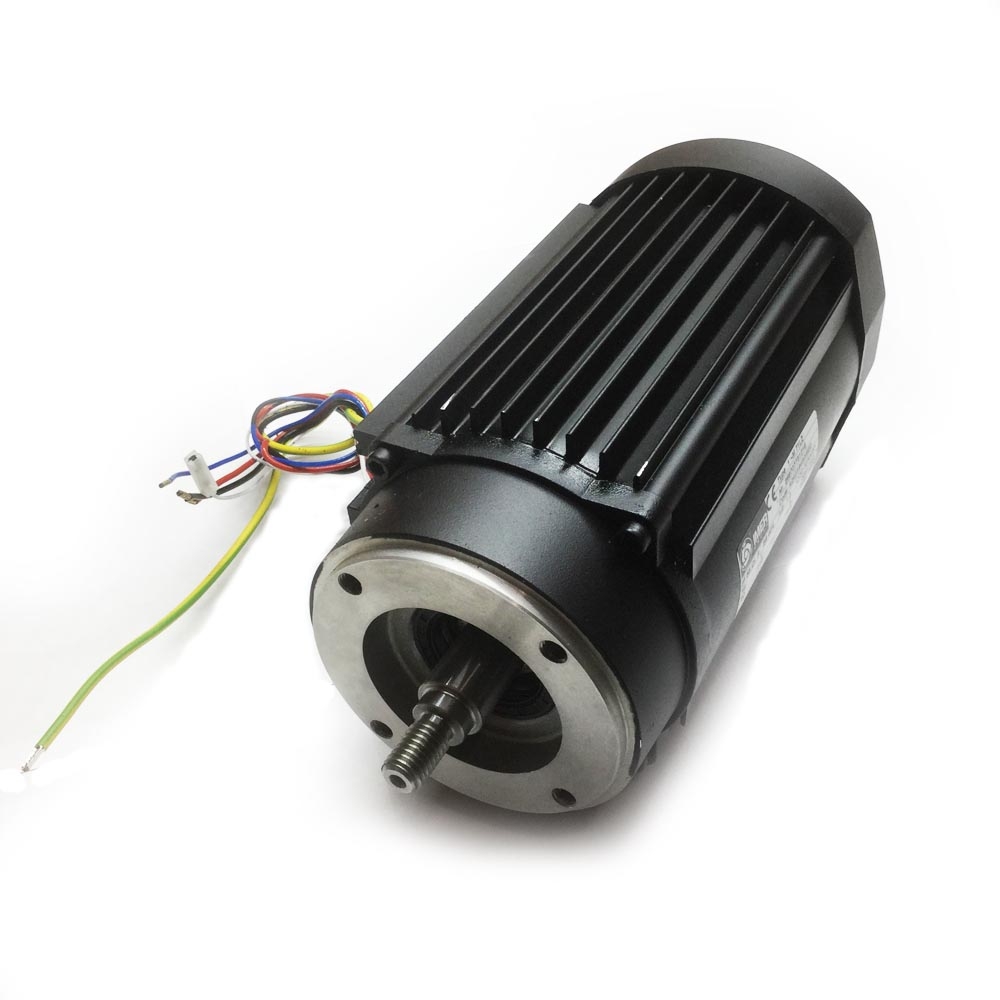 21289MER Imer C250V/VA MOTOR REV 4