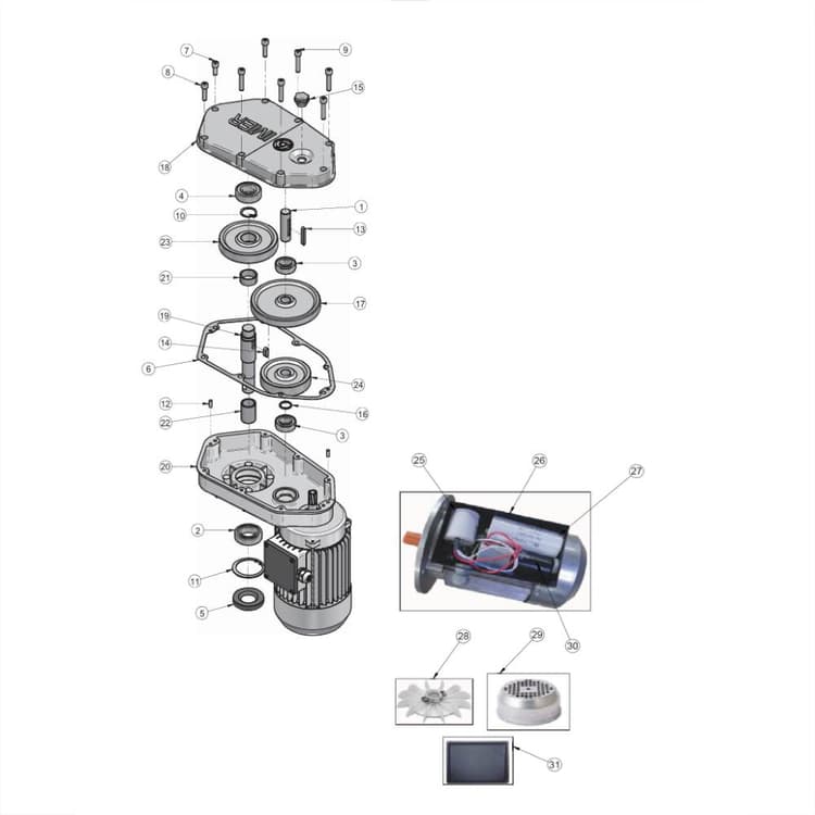 SPIN-30-Plus Gear Motor