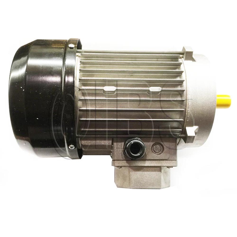 20945MER Imer USA Motor C 1000 220V
