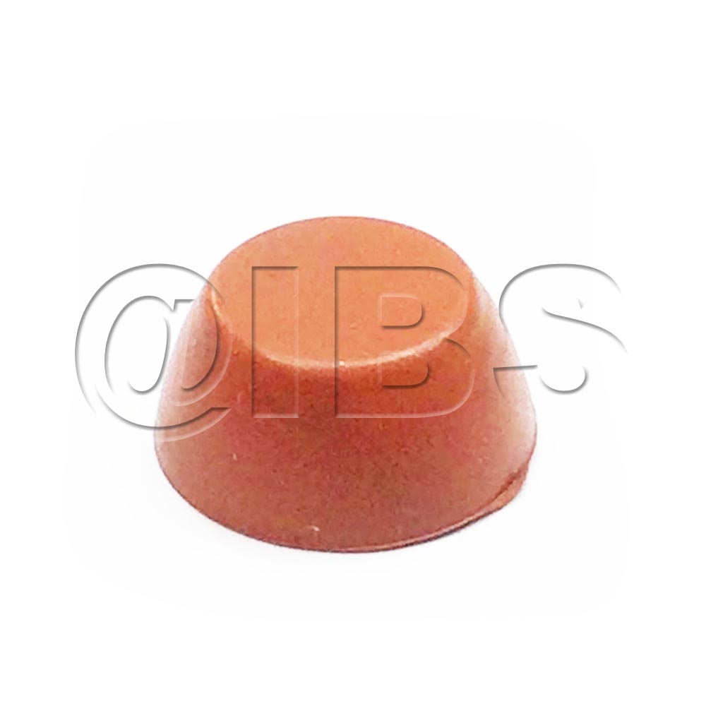 20873MER Imer USA C2 CAP